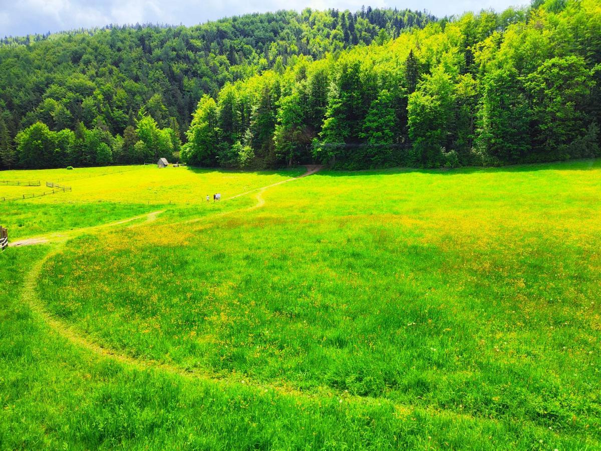 Trzy Doliny Zakopane, Three Valleys With Jacuzzi *